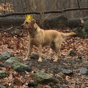 Meet your Posher, Maya